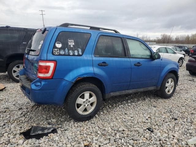 2011 Ford Escape XLT