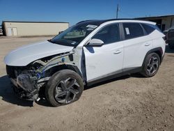 2023 Hyundai Tucson SEL Convenience en venta en Temple, TX