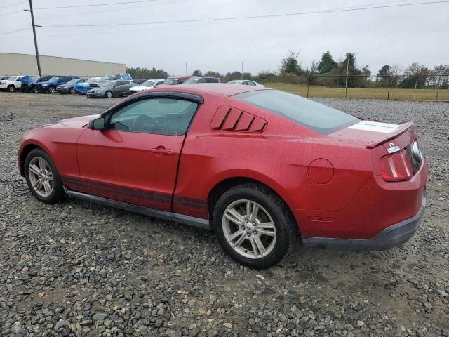 2010 Ford Mustang