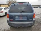 2005 Ford Escape XLT