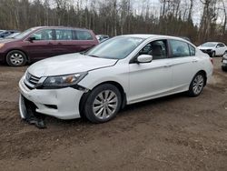 Salvage cars for sale at Cookstown, ON auction: 2014 Honda Accord LX