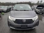 2022 Honda Odyssey EXL