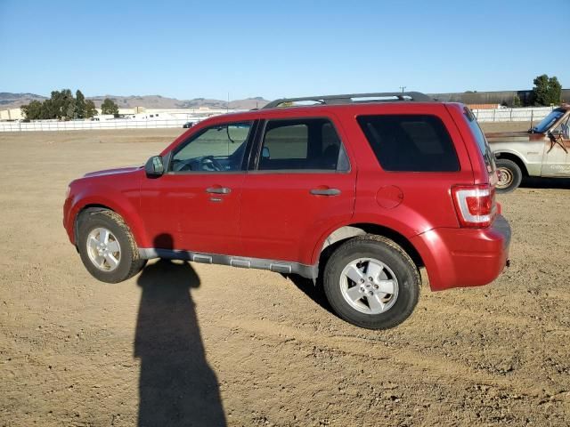 2009 Ford Escape XLT