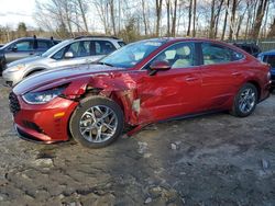 Salvage cars for sale at Candia, NH auction: 2023 Hyundai Sonata SEL