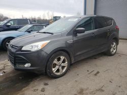 Lotes con ofertas a la venta en subasta: 2015 Ford Escape SE