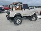 1995 Jeep Wrangler / YJ S