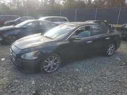 Nissan salvage cars for sale: 2014 Nissan Maxima S