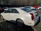 2010 Cadillac CTS Performance Collection