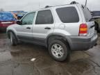 2005 Ford Escape XLT