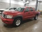 2008 Dodge Dakota Quad SLT