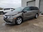 2020 Honda Odyssey EXL