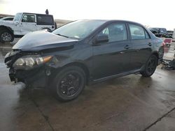 Salvage cars for sale at auction: 2011 Toyota Corolla Base