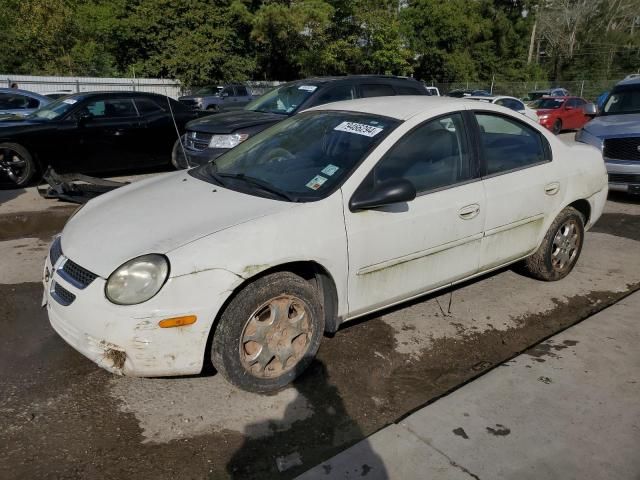 2005 Dodge Neon SXT