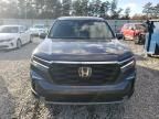 2023 Honda Pilot EXL