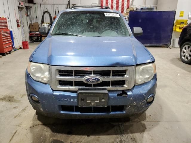 2010 Ford Escape XLT