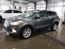 Salvage cars for sale at Ham Lake, MN auction: 2019 Ford Escape SE