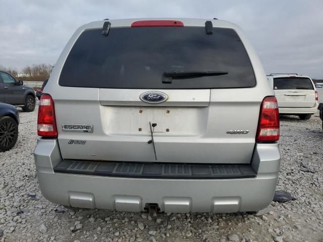 2009 Ford Escape XLT