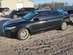 Ford Fusion se Vehiculos salvage en venta: 2019 Ford Fusion SE