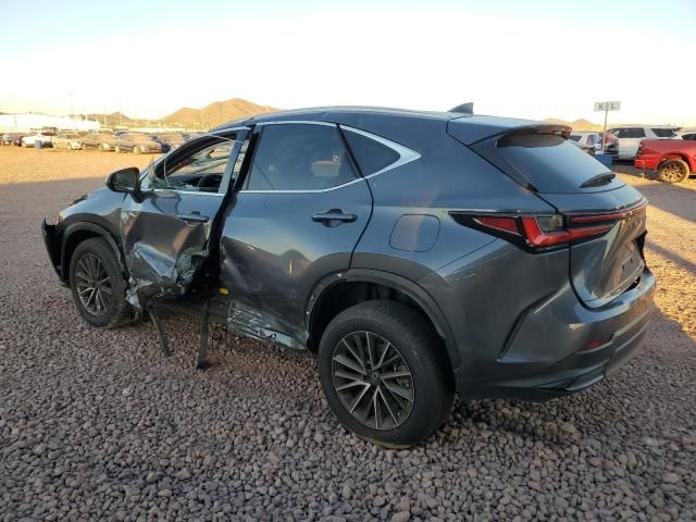 2023 Lexus NX 350