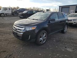 Ford Vehiculos salvage en venta: 2013 Ford Edge Limited