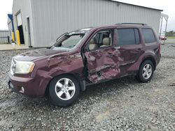 Honda Pilot Vehiculos salvage en venta: 2009 Honda Pilot EXL