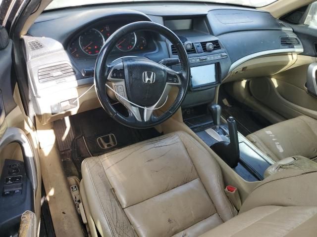 2010 Honda Accord EXL