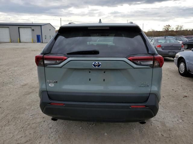 2019 Toyota Rav4 XLE