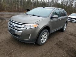 2014 Ford Edge SEL en venta en Cookstown, ON