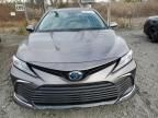 2024 Toyota Camry XLE