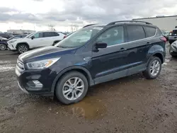 Ford Vehiculos salvage en venta: 2019 Ford Escape SEL