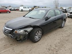 Honda salvage cars for sale: 2011 Honda Accord EXL