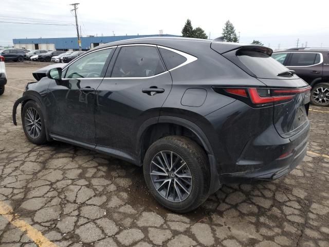 2023 Lexus NX 350