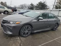 Salvage cars for sale at Moraine, OH auction: 2019 Toyota Camry L