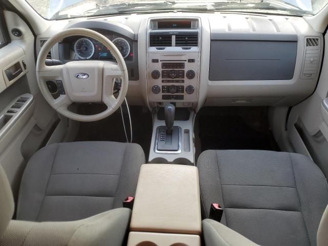 2009 Ford Escape XLT