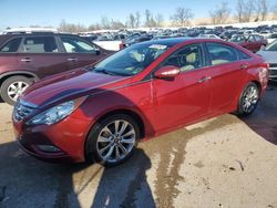 Salvage cars for sale at Bridgeton, MO auction: 2013 Hyundai Sonata SE