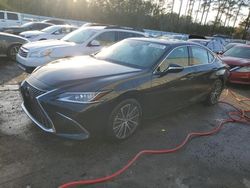 Flood-damaged cars for sale at auction: 2023 Lexus ES 350 Base