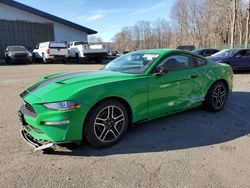 Salvage cars for sale from Copart Assonet, MA: 2019 Ford Mustang