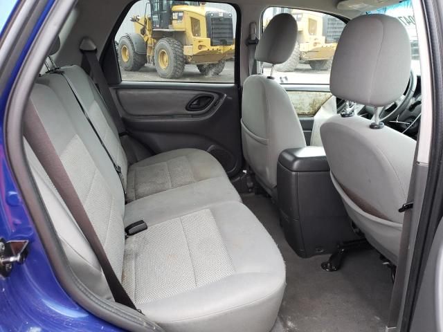 2005 Ford Escape XLT