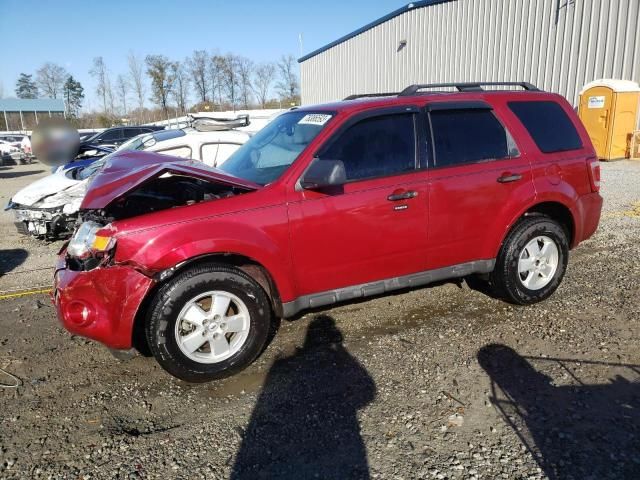 2009 Ford Escape XLT