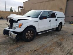 Salvage cars for sale from Copart Gaston, SC: 2012 Ford F150 Supercrew