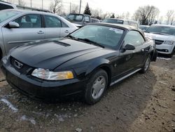 Salvage cars for sale from Copart Lansing, MI: 2000 Ford Mustang