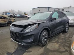 Salvage cars for sale from Copart Vallejo, CA: 2020 Ford Escape SE Sport