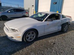 Salvage cars for sale at Elmsdale, NS auction: 2014 Ford Mustang