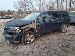 Honda Pilot EXL salvage cars for sale: 2023 Honda Pilot EXL