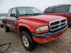 2003 Dodge Dakota SXT