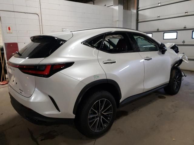 2024 Lexus NX 350 Base