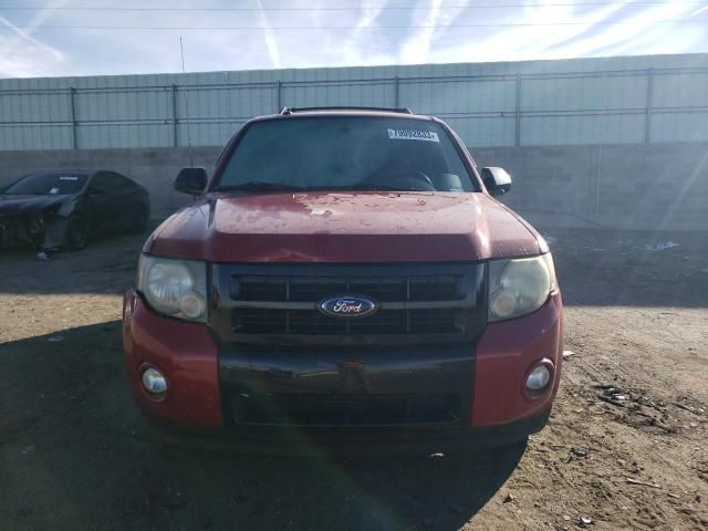 2009 Ford Escape XLT