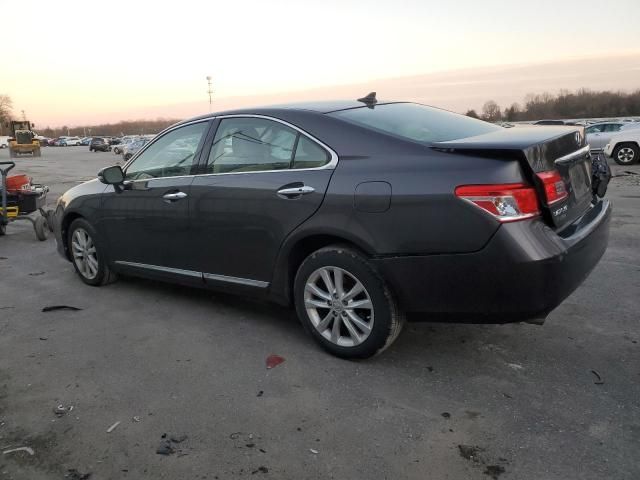 2010 Lexus ES 350