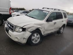 Salvage cars for sale at Las Vegas, NV auction: 2009 Ford Escape XLT