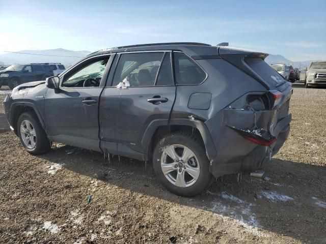 2019 Toyota Rav4 XLE